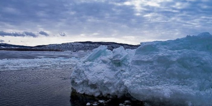 Sibirya'da Buzul Çağı'ndan kalma keşif