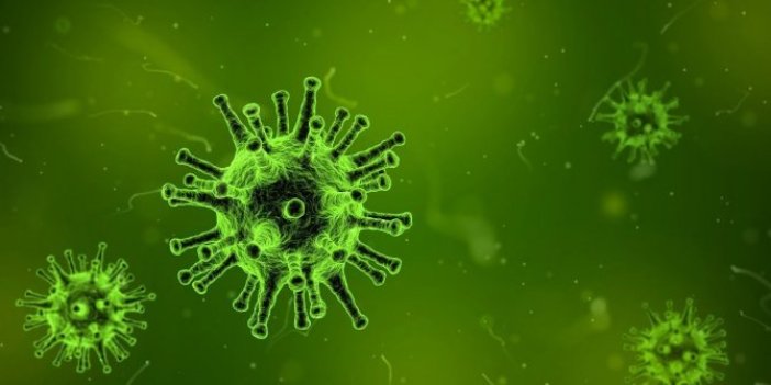 Korona virüs en çok hangi hastalığa sahip olanları öldürüyor?