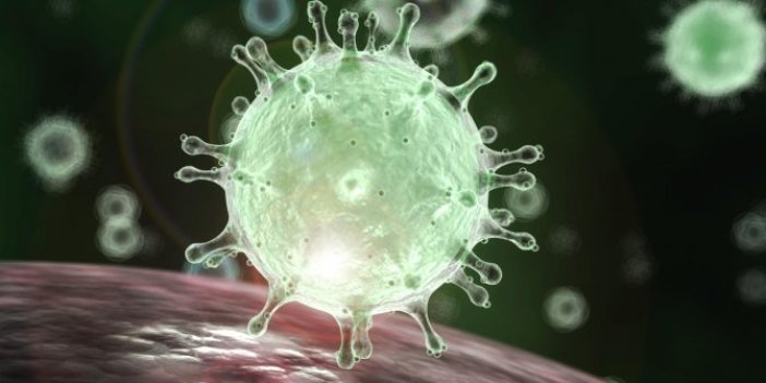 İngiliz genetik bilimci: Korona virüsün atası ABD