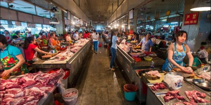 Çinli köpek eti satan restoran sahibinden şok ifadeler