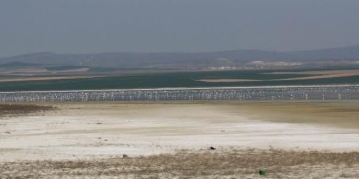180 kuş türüne ev sahipliği yapan Düden Gölü kurumaya yüz tuttu