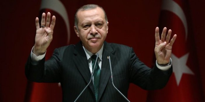 Berat Albayrak ve 'askeri kökenli' aday iddiası: Erdoğan'ın halefi kim olacak?