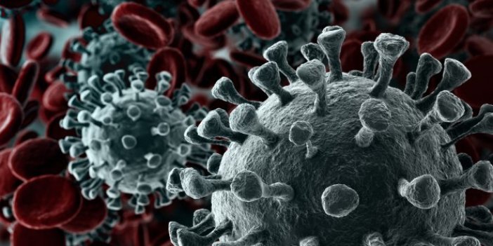 Endişelendiren araştırma: Virüsün daha bulaşıcı mutasyonu keşfedildi
