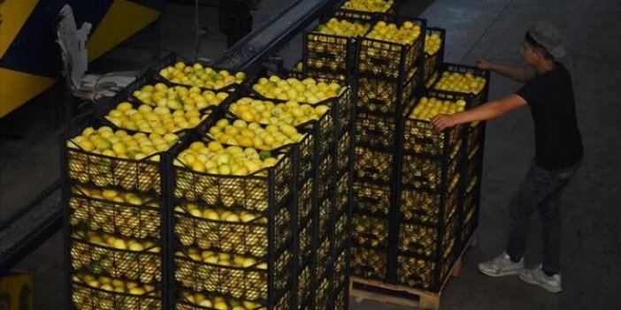 10 bin ton için kapılar açıldı: Limon hiç bu kadar tatlı olmamıştı!