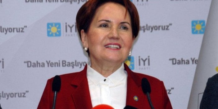 Meral Akşener'in "Memleket Masası" çağrısındaki Alparslan Türkeş detayı!