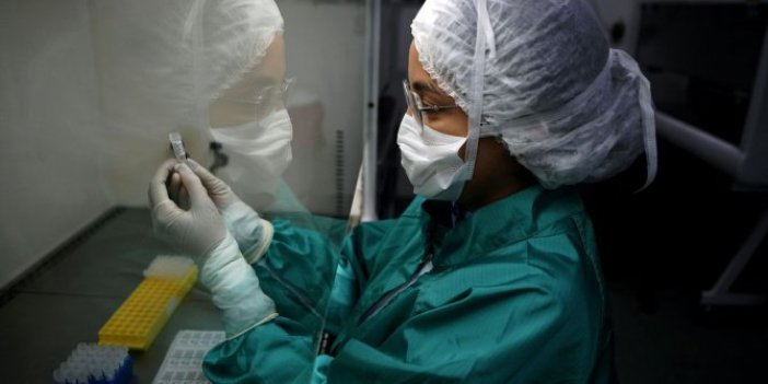 1500 farklı virüs tespit edildi: Yeni tehlikeler kapıda