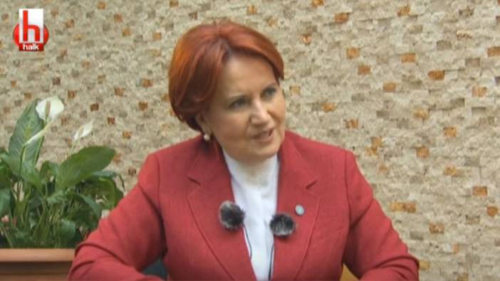 Meral Akşener'den önemli açıklamalar