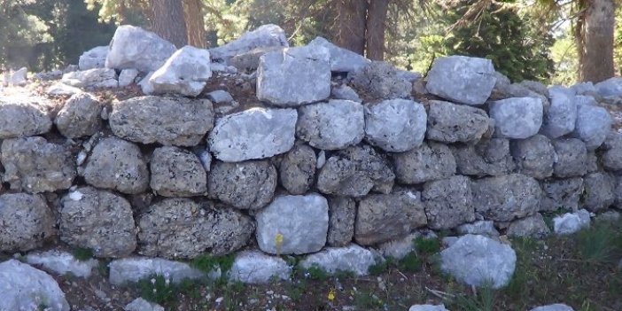 Mantar toplarken 2 bin 800 yıllık tarihi ortaya çıkardı: Çin Seddi gibi