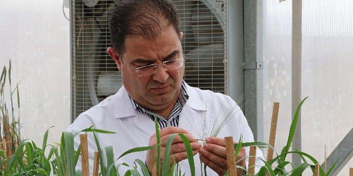Çiftçiler “Ohhh” diyecek: Karamanoğlu Mehmetbey Üniversitesi müjdeyi verdi
