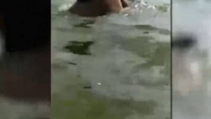 Barajda yüzen adamı timsah böyle yedi: Su altından bir anda çıktı