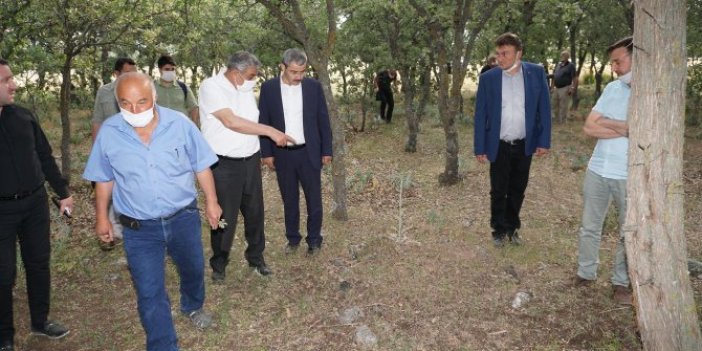 Denizli'de yakılarak öldürülen 83 Türk'ün mezarı bulundu