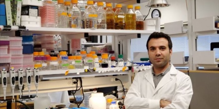 Türk bilim insanı DNA'yı tamir etti! Türkiye beğenmedi, İngiltere ödül verdi