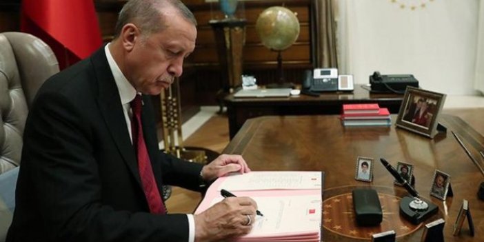 Tayyip Erdoğan'dan çok sayıda yeni atama! Berat Albayrak'a bağlı 4 isme büyük şok