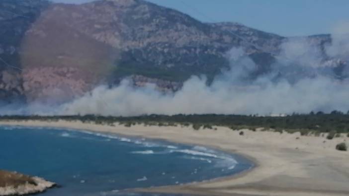 Ege’de 3 kentimizin ormanları yanıyor! Türkiye'nin ciğerleri alev alev