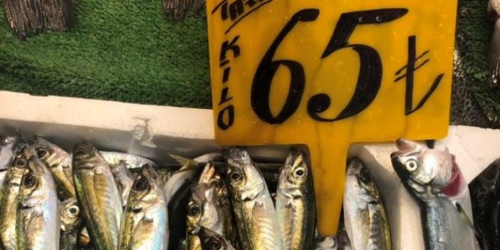 Yuh artık: Denizin kuru fasulyesi istavrite 'pirzola' fiyatı verdiler!