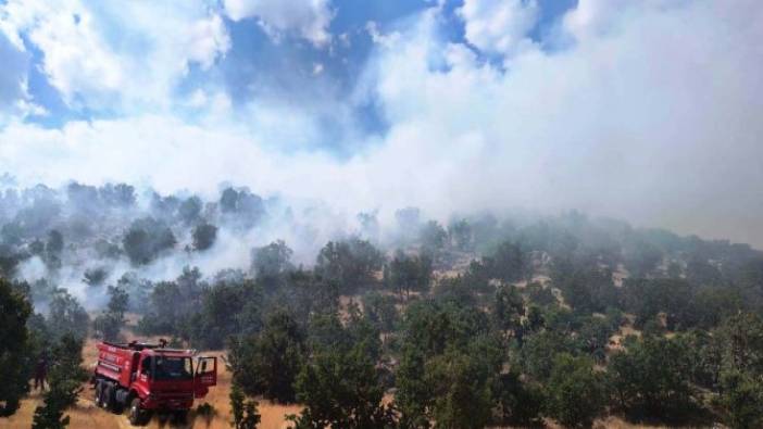 Adıyaman’da orman yangını (14 Temmuz 2020)