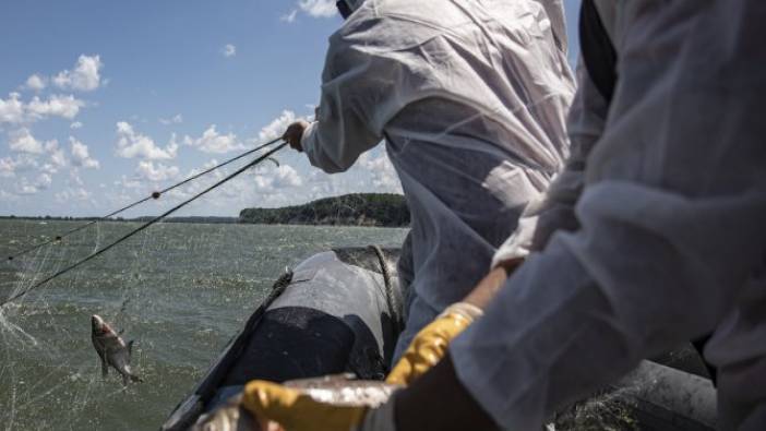 Terkos Gölü'nde kaçak avcılık denetimi! Ağlar balıkla doldu