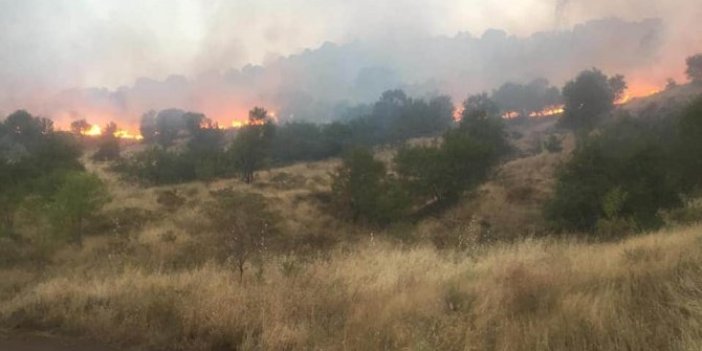 Elazığ'da 60 hektar alan yandı