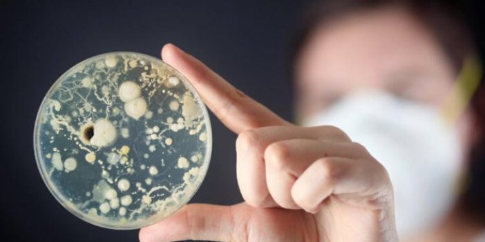 Metal yiyen bakteri bulundu, 100 yıldır aranıyordu