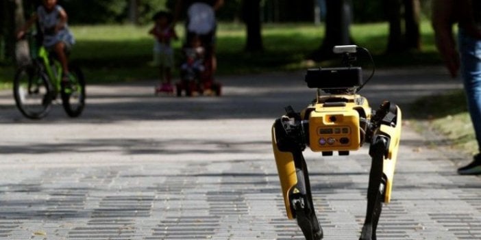 Robot köpek göreve başlıyor