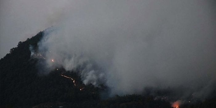 Manisa'daki orman yangını kısmen kontrol altına alındı