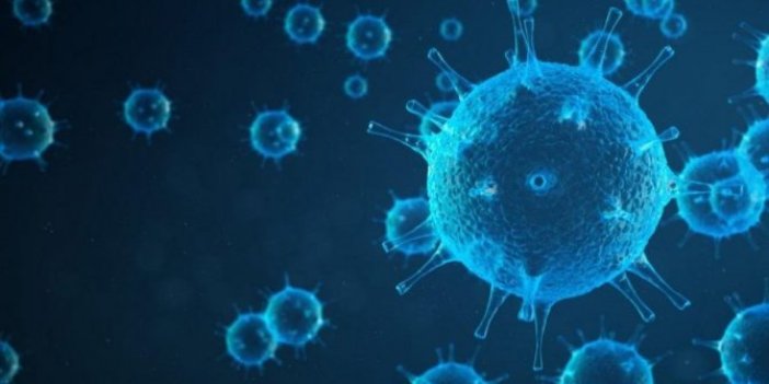Çin virüs saçmaya devam ediyor! Şimdi de Bunyavirüs paniği