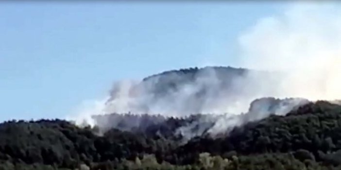 Kastamonu'da orman yangını