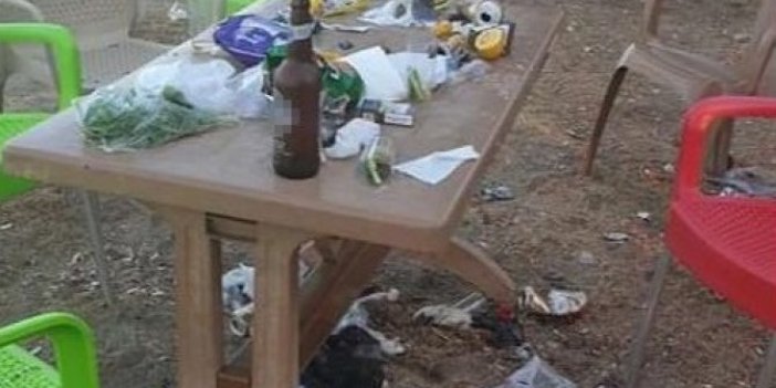 Bu fotoğraf sizce nerede çekildi: Hani ayılara “ayı” diyorsunuz ya artık demeyin