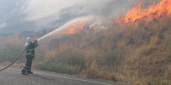 Aydın'da Priene Antik Kenti yakınında yangın