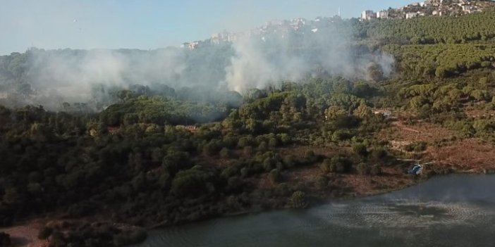 Maltepe'deki orman yangınında 1 kişi gözaltında! Örgütle bağlantısı çıktı
