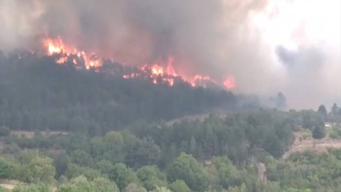 Ankara Nallıhan'daki orman yangını devam ediyor