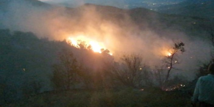 İzmir'de yine orman yangını! Rüzgarın etkisiyle büyüdü