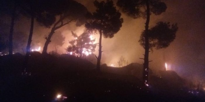 Aydın'da orman yangını söndürülmeye çalışılıyor