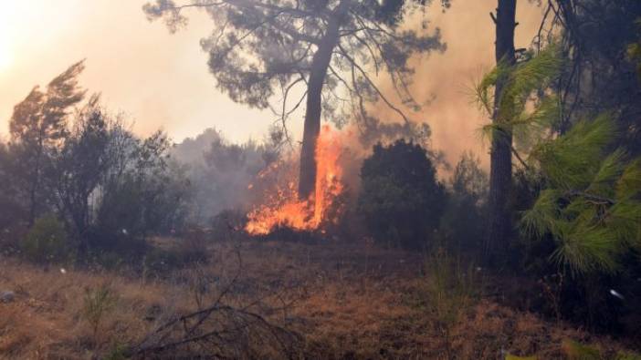 Antalya Adrasan'da orman yangını! Çevre illerden destek geliyor