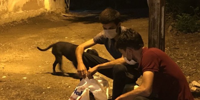 Adana'da iş yerine giren hırsızları "Zümrüt" yakaladı