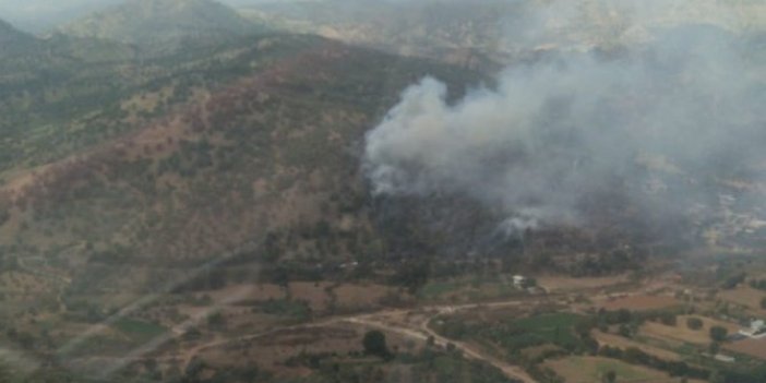 Aydın'da zeytinlik alanda yangın çıktı. 2 kişi yaralandı