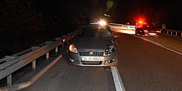 Sinop'ta aracın çarptığı kadın hayatını kaybetti