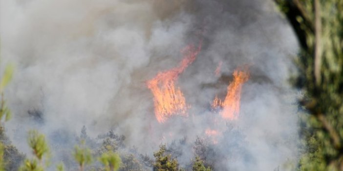 Manisa'da orman yangını!  8 saat sonra söndürülebildi