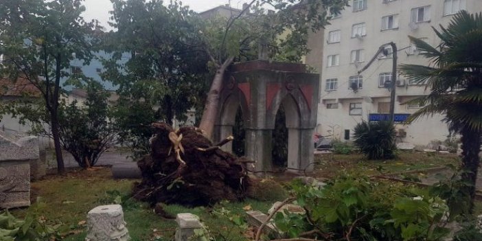 Beklenen hortum ağaçları kökünden söküp, çatıları uçurdu, vatandaşlar büyük panik yaşadı