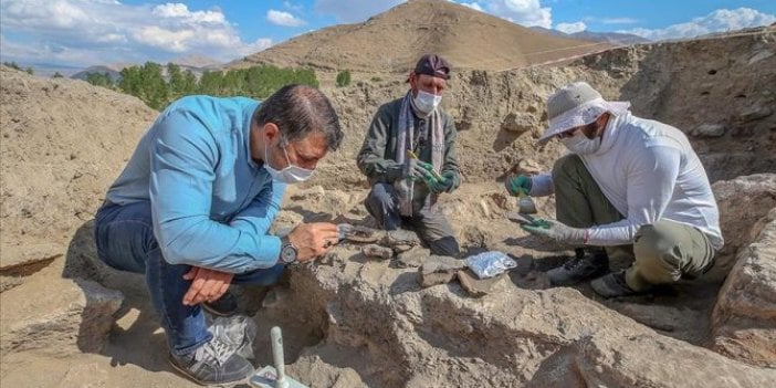 Van'da 5 bin yıl öncesine ait yaşamın izleri bulundu