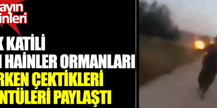 Bebek katili PKK'lı hainler ormanları yakarken çektikleri görüntüleri paylaştı. Yakalayın bu hainileri