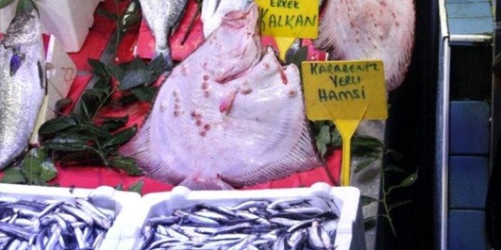 Marmara'da balıkçılar onu tutmak için birbiri ile yarışıyor: Kilosu tam tamına 200 lira