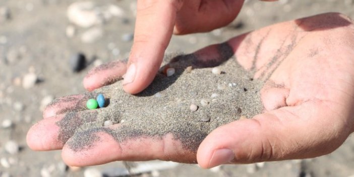 Adana sahillerinde kanser kol geziyor. 1 avuç kumda 200 tane var. Doç. Dr. Sedat Gündoğdu'dan toksit zehirli bomba uyarısı