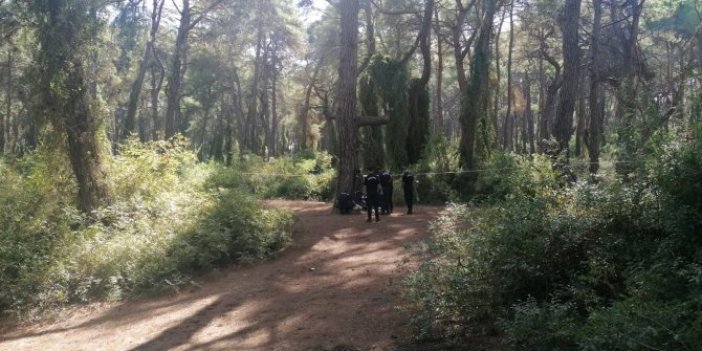 Antalya'da atla gezen turist büyük şok yaşadı. Ağaçta fark edince çığlığı bastı