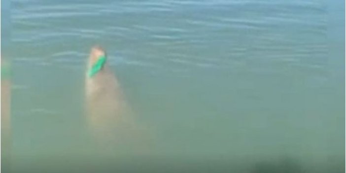 Suyun içinden bir canavar çıktı. Balıkçılar tuttuklarına inanamadı