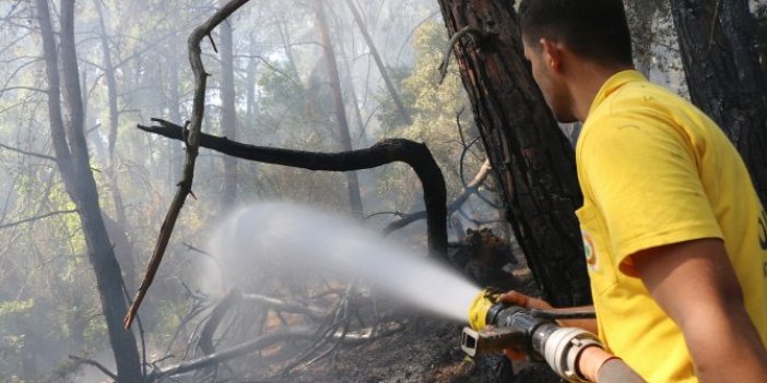 Adana'da orman yangını söndürüldü