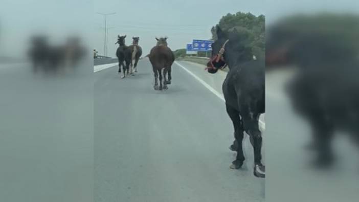 Savulun Karaoğlan geliyor. Burası İstanbul TEM otoyolu Göktürk. Neredesin Malkoçoğlu Cüneyt