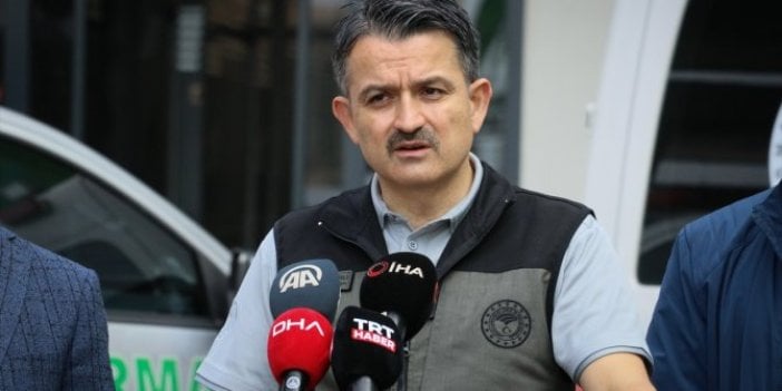 Bakan Pakdemirli'den Hatay yangını açıklaması