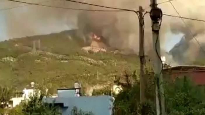 İskenderun'da ormanları yakanları suçüstü kameraya aldı, Yakalayın bu halk düşmanı teröristleri!