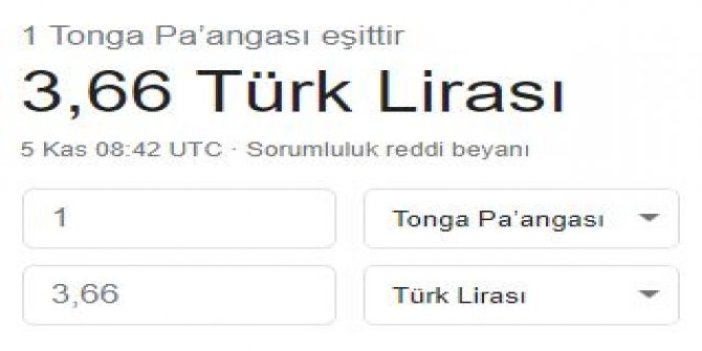 Türk Lirası Tonga'ya düştü. Adı hiç duyulmamış ülkenin para birimi karşısında bile eridi
